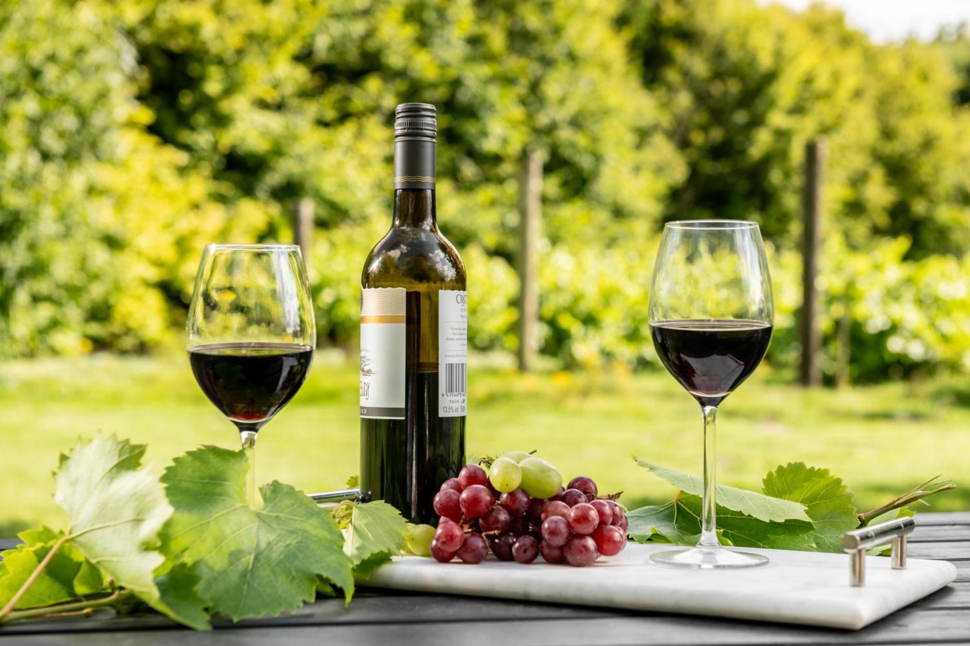 布兰德福德福鲁姆Downwood Vineyard Manor In Idyllic Countryside别墅 外观 照片
