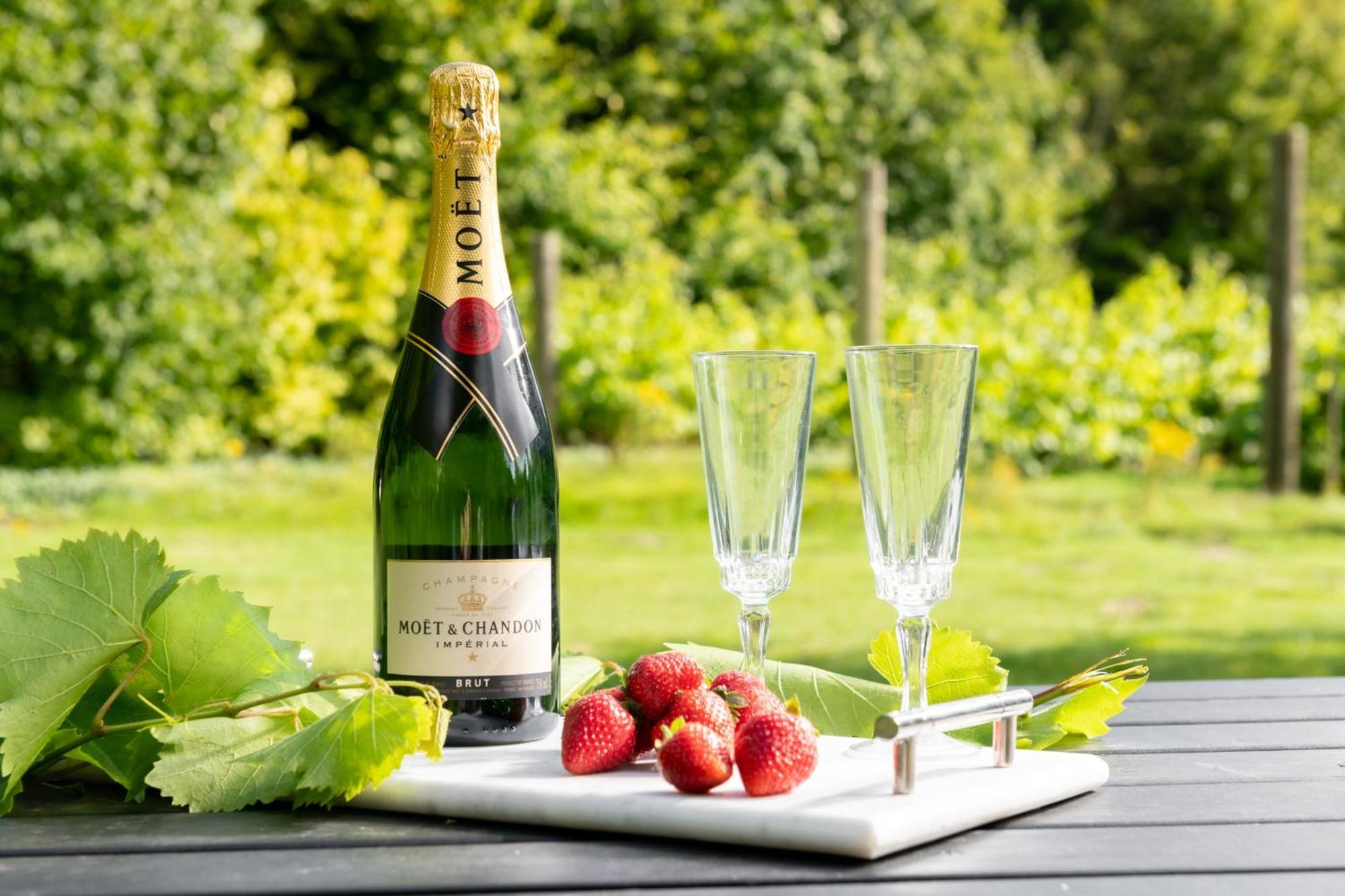 布兰德福德福鲁姆Downwood Vineyard Manor In Idyllic Countryside别墅 外观 照片